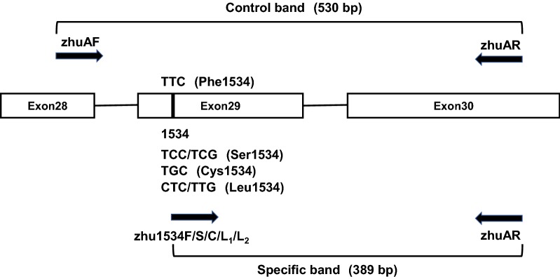 Fig. 1