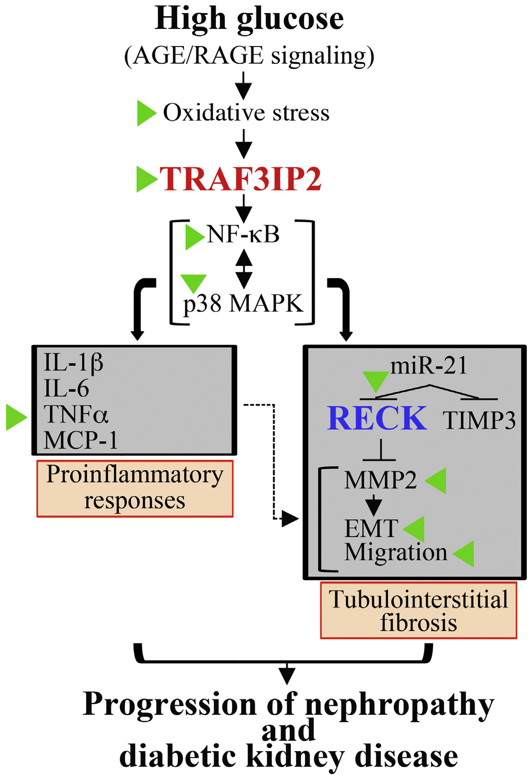 Fig. 10.