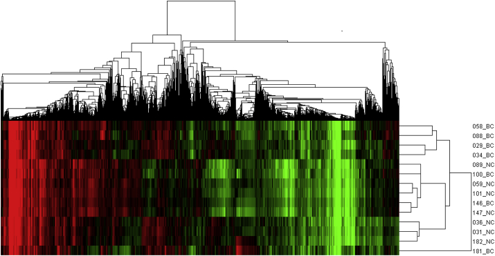 Fig. 1