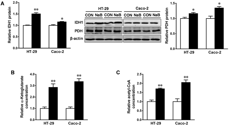 Figure. 3.