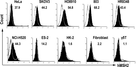 FIGURE 1.