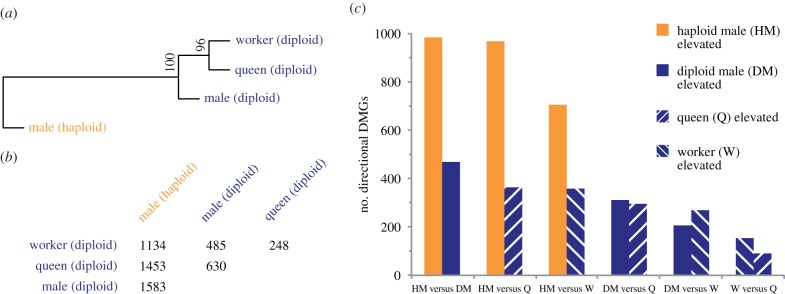 Figure 1.