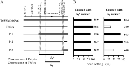 Figure 3.—