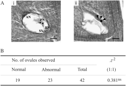 Figure 1.—