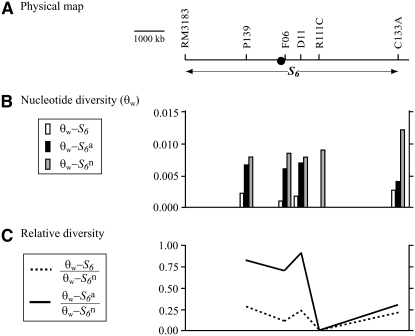 Figure 4.—