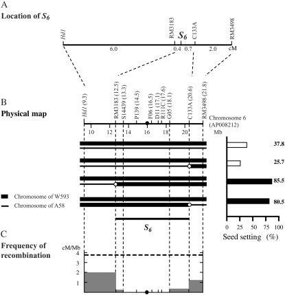 Figure 2.—