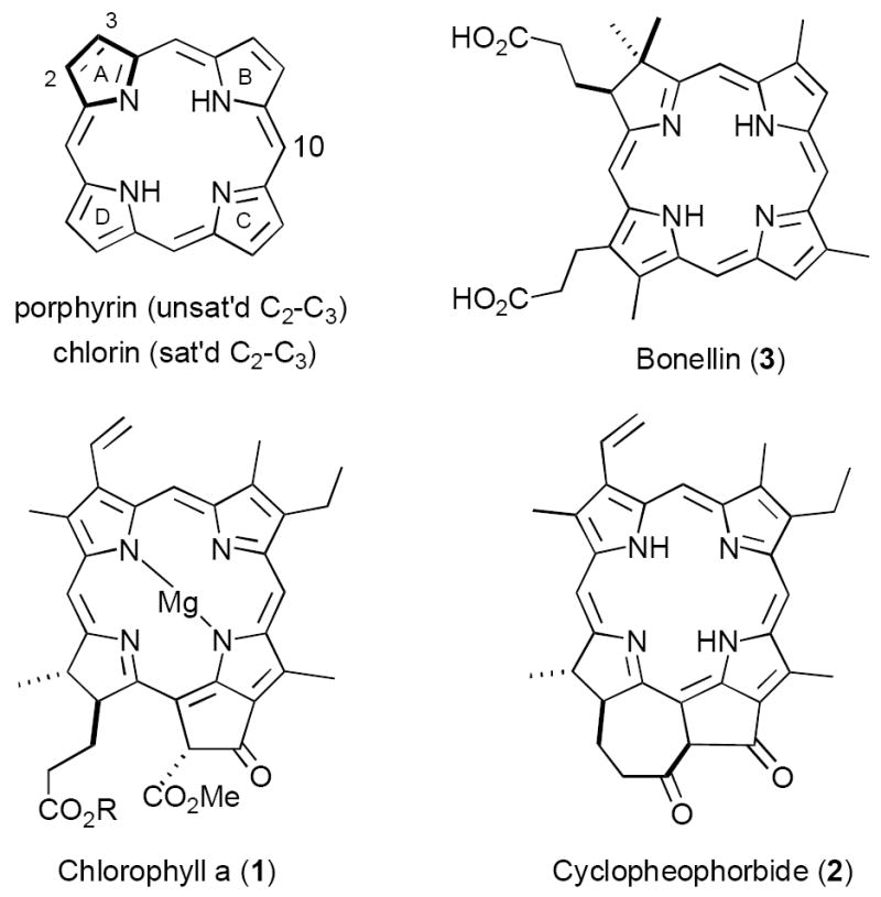 FIGURE 1