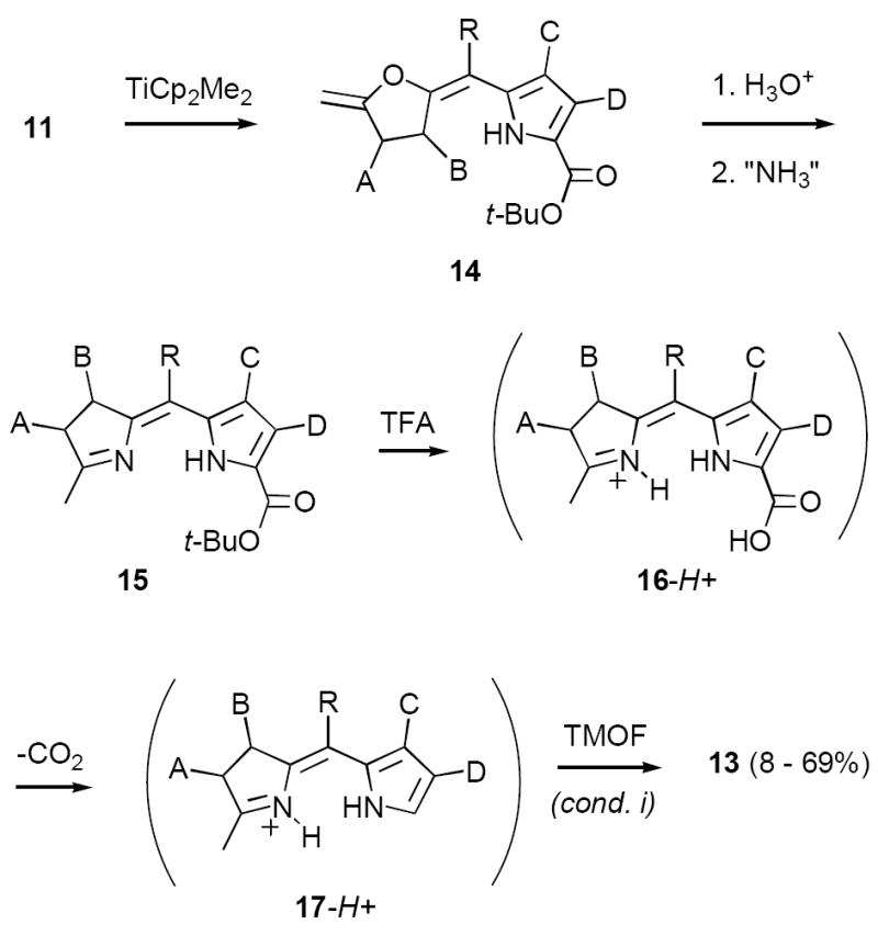 SCHEME 4