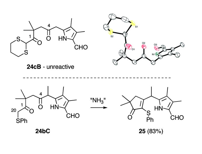 SCHEME 8