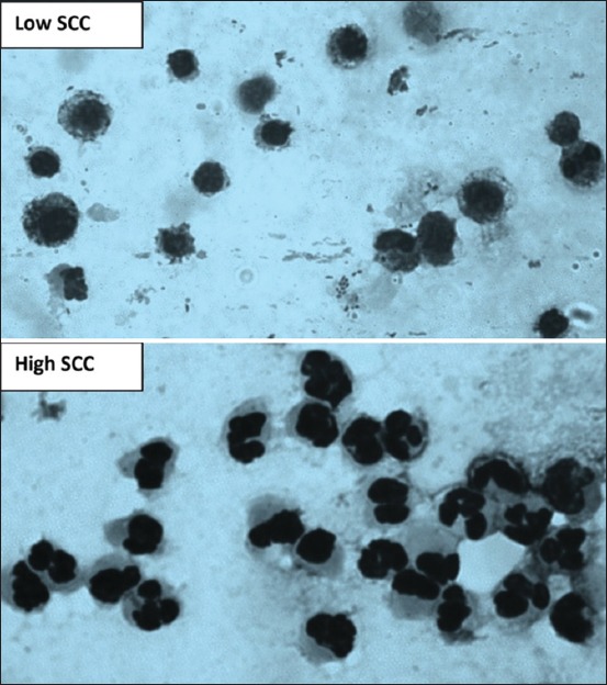 Figure-4