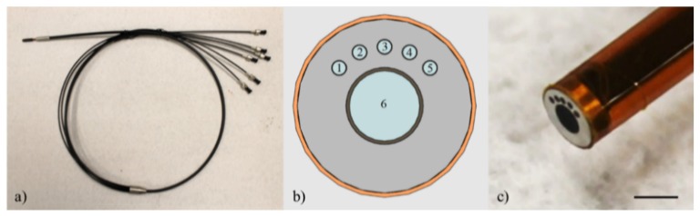 Fig. 1