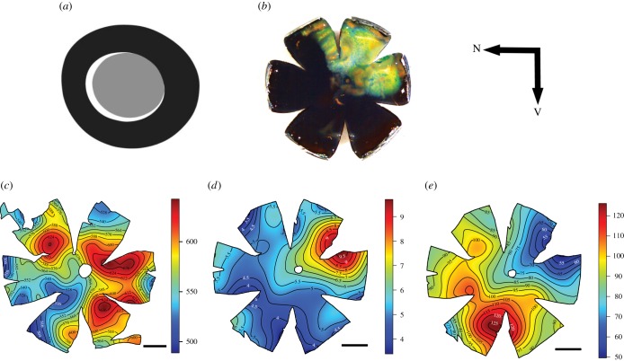 Figure 1.