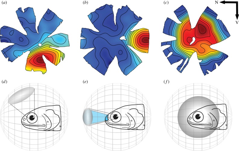 Figure 2.