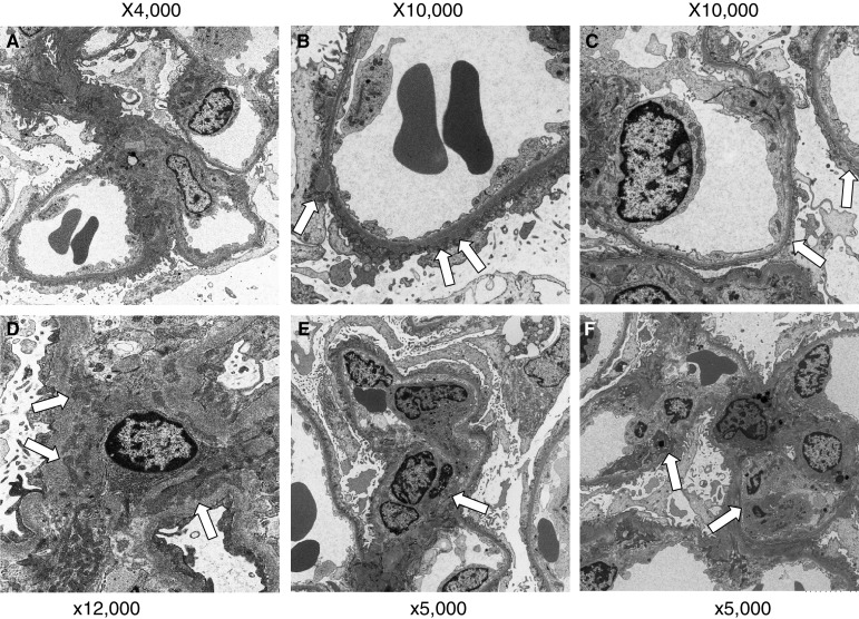 Fig. 4