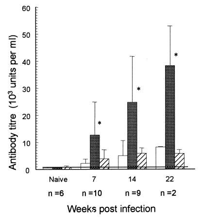 FIG. 1