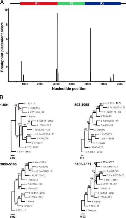 FIG. 2.