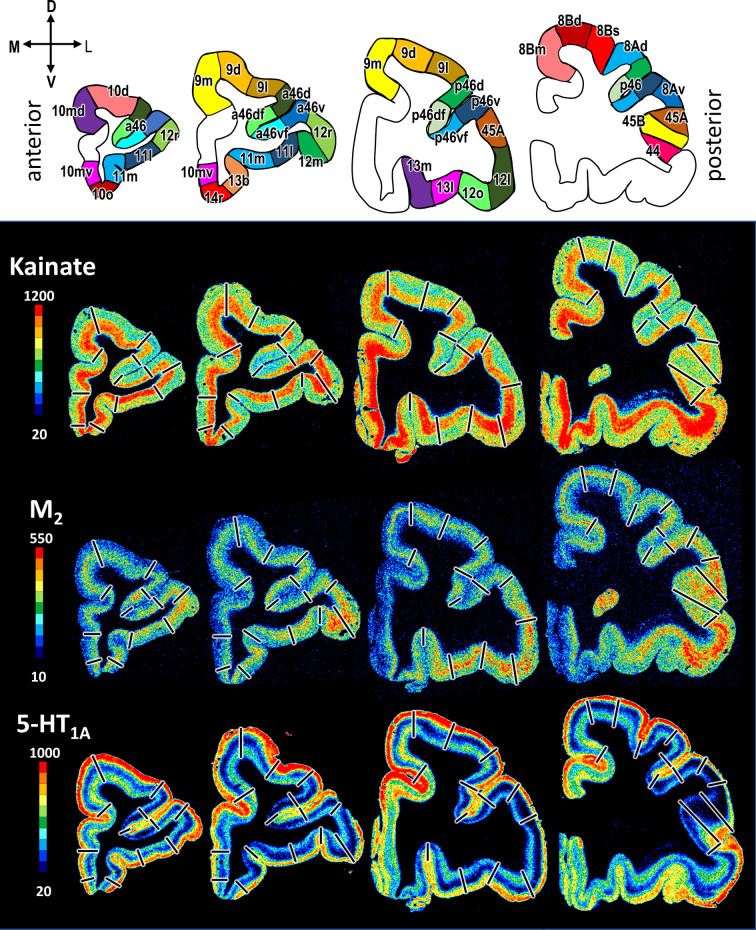 Figure 9.