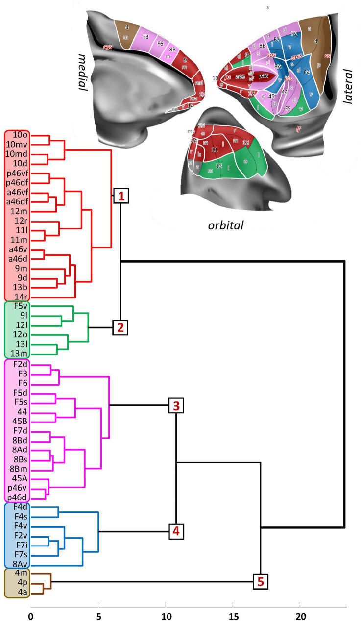 Figure 19.