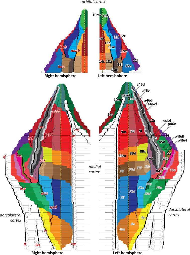 Figure 2—figure supplement 2.