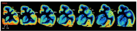 Author response image 1.
