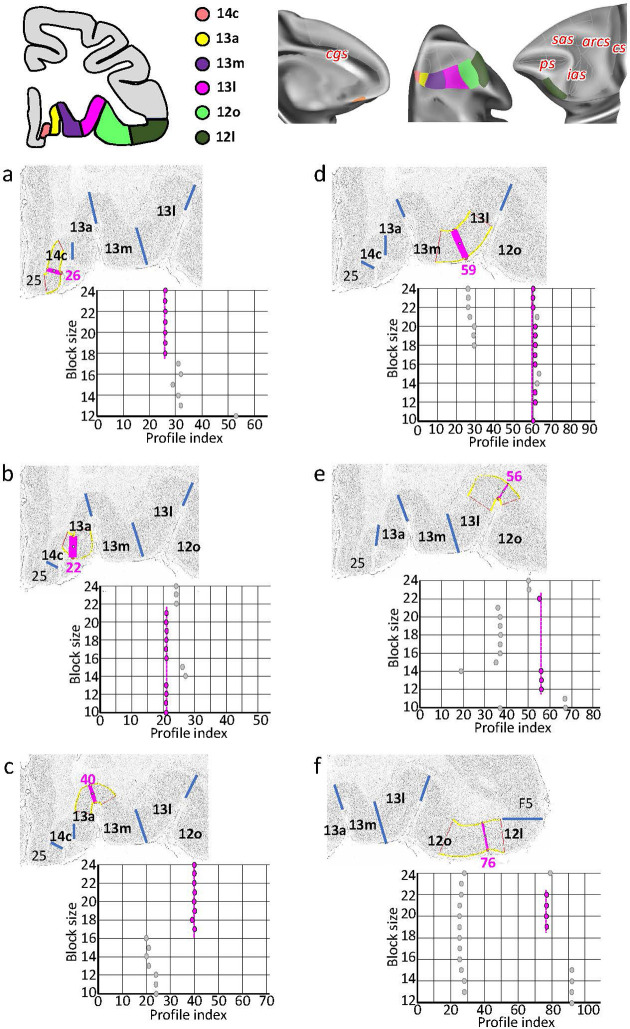 Figure 4—figure supplement 2.