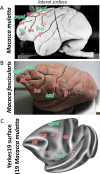 Figure 2—figure supplement 1.
