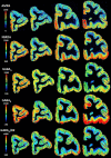 Figure 9—figure supplement 1.