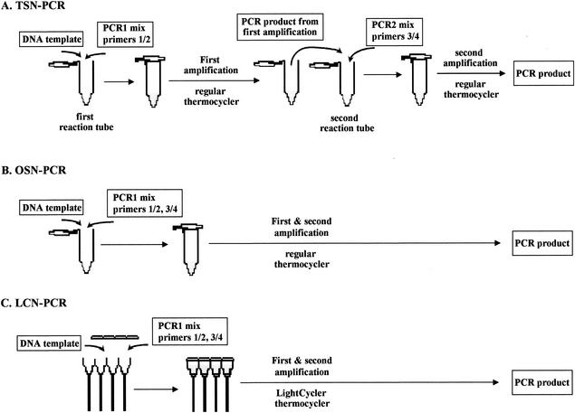 FIG. 1.