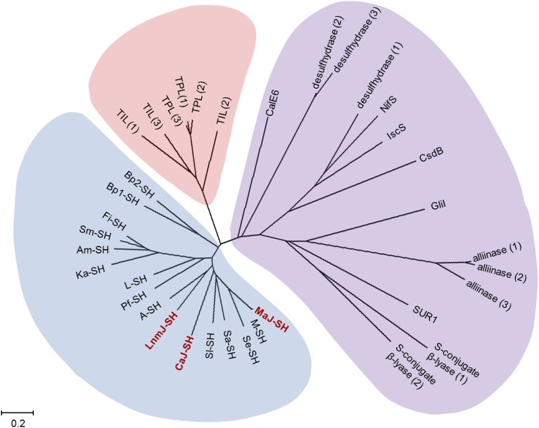 Fig. 2.