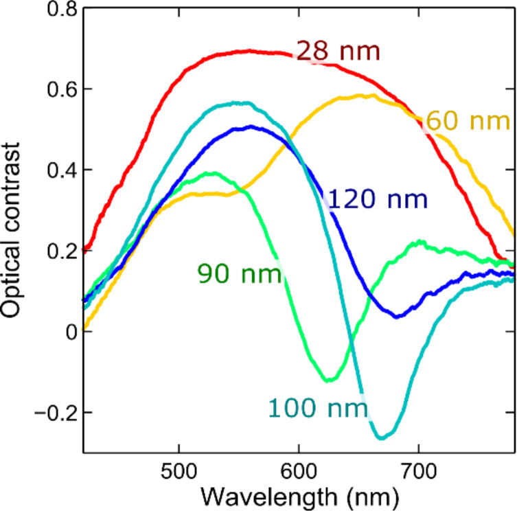 Figure 4