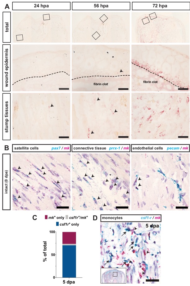 Figure 2—figure supplement 2.