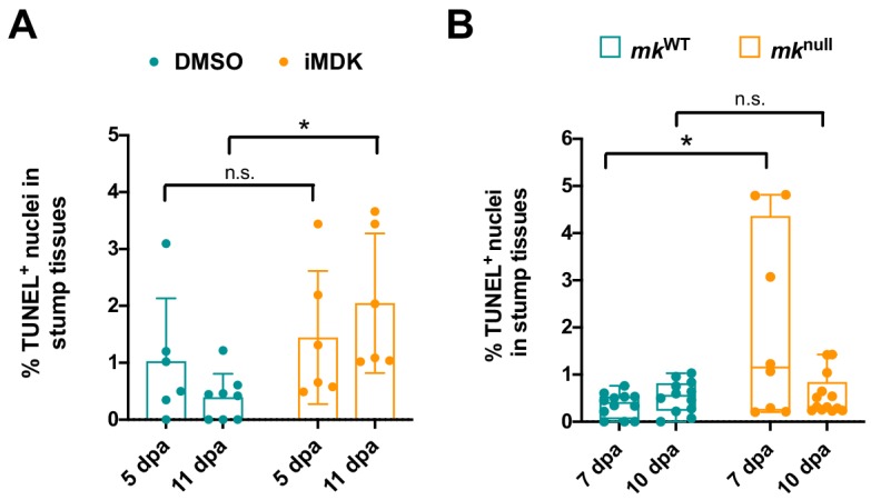 Figure 5—figure supplement 1.