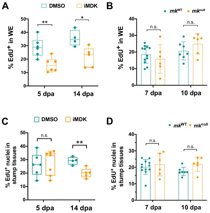 Figure 7—figure supplement 1.