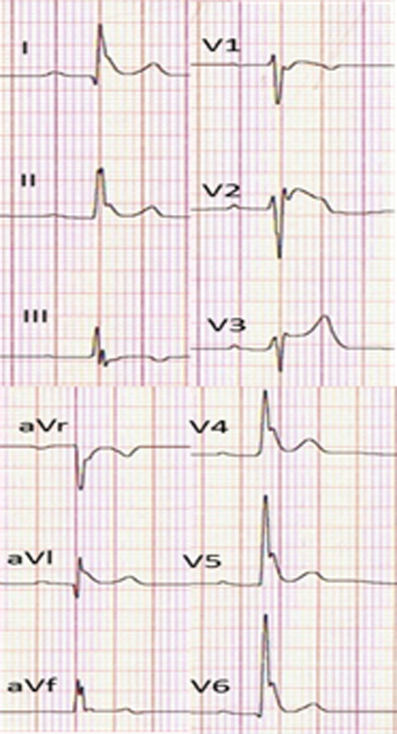 Fig. 5