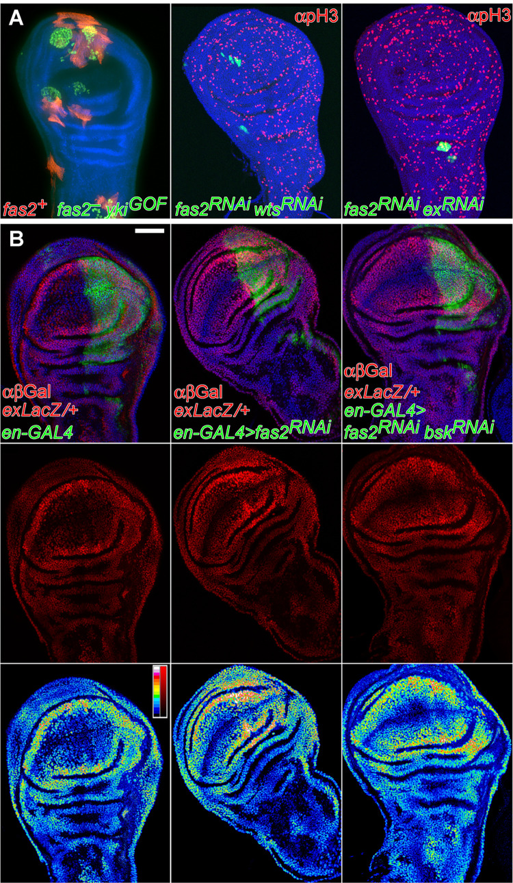 Fig 6