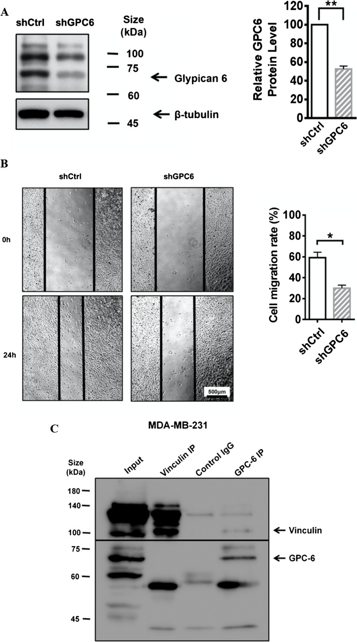 Fig. 6