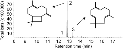 Figure 6.