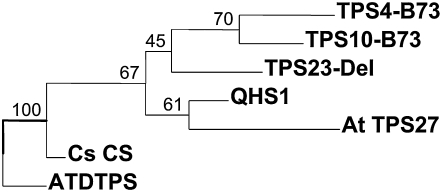 Figure 7.