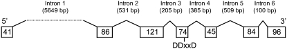 Figure 13.