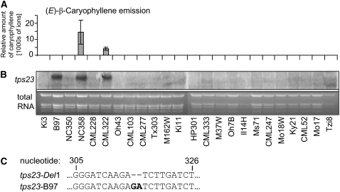 Figure 12.