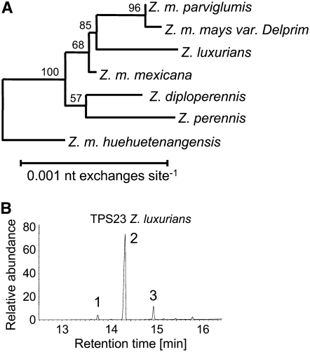 Figure 11.