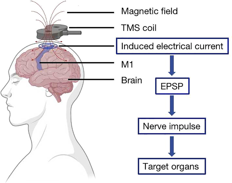 Figure 1