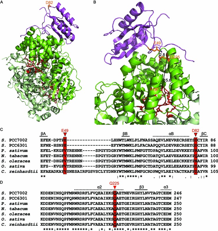 Figure 5