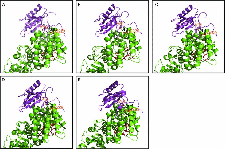 Figure 6