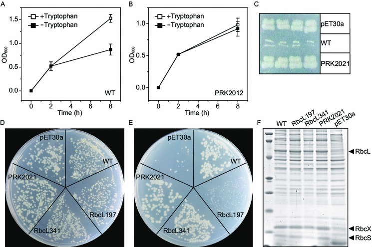 Figure 3