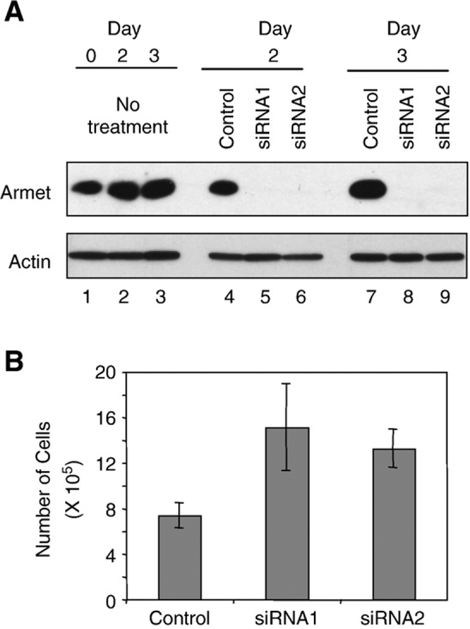 Fig. 5 –