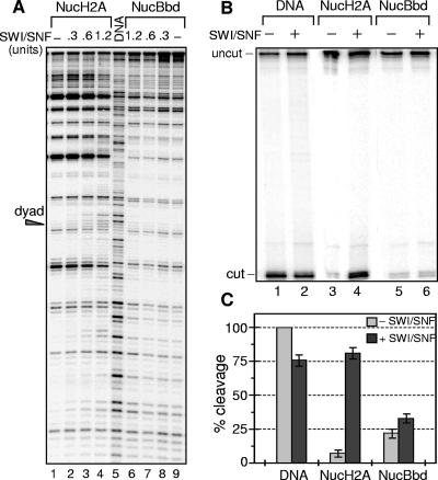 FIG. 4.