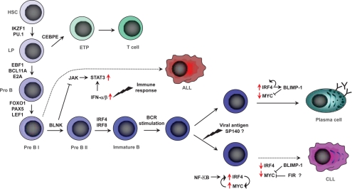 Figure 1: