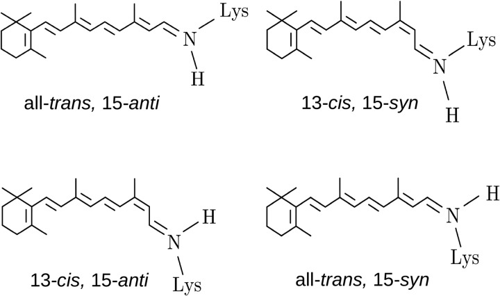 FIGURE 4.