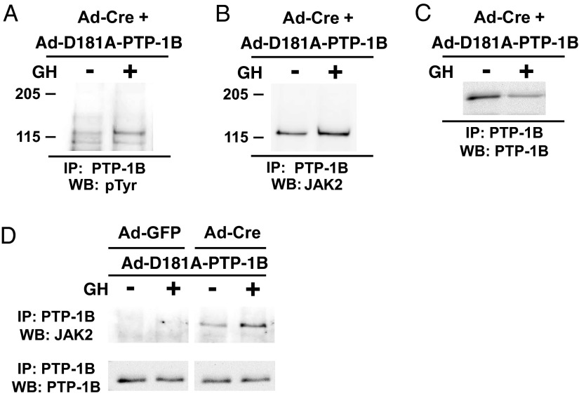 Figure 7.